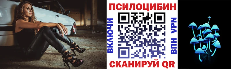 дарнет шоп Каменногорск Галлюциногенные грибы Cubensis