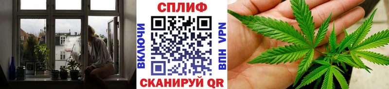 закладки  Каменногорск  Каннабис MAZAR 